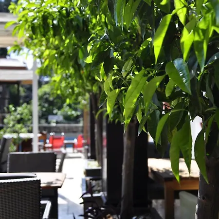 Hotel Kosa Boutique