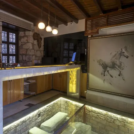 Hotel Kosa Boutique 3*